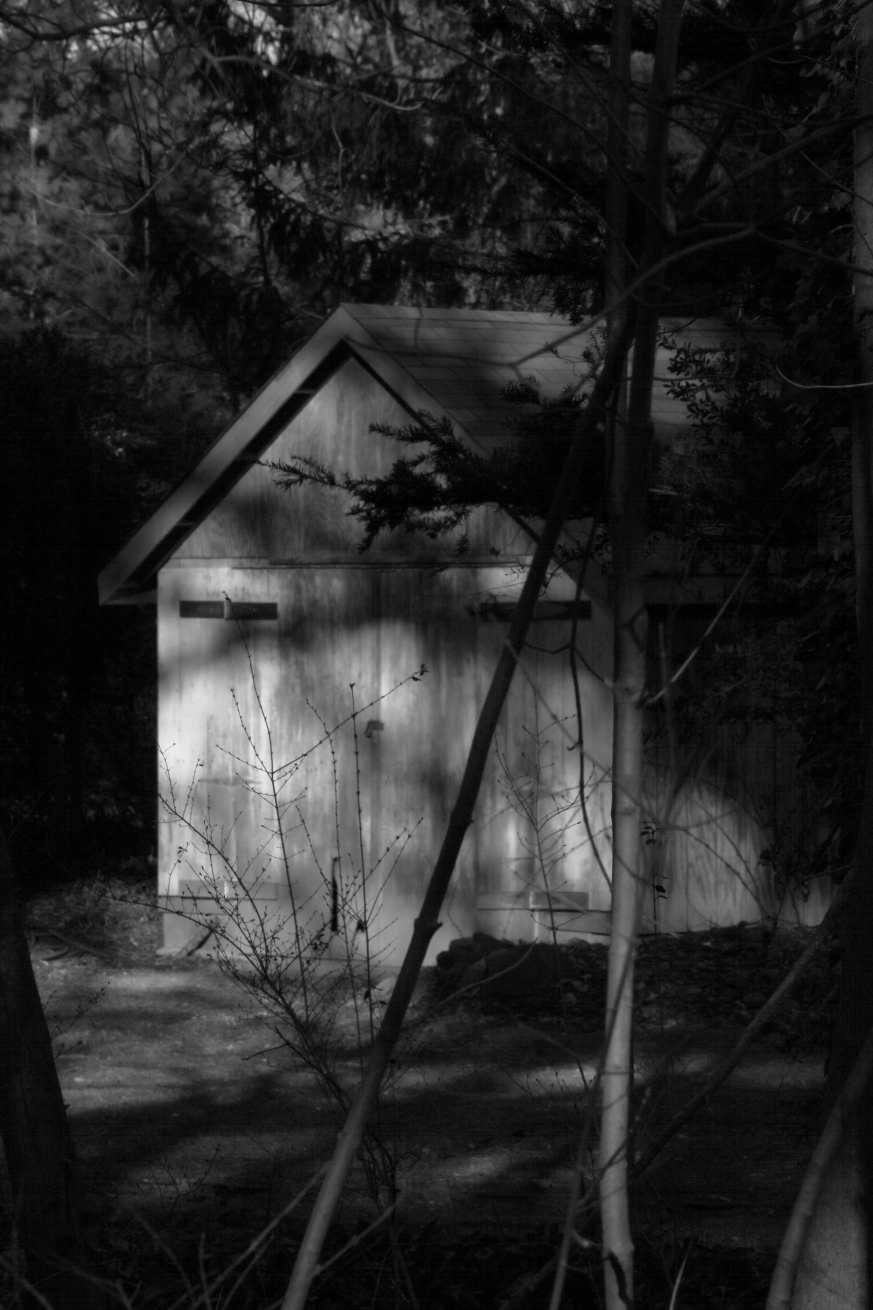 2011 03 29 IMG 26957ebw